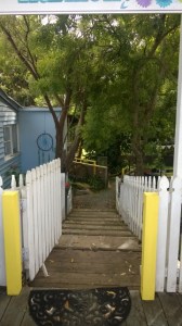 nest-garden-wp_20160205_001-360x640